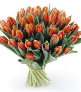 Tulpen Boeket Oranje